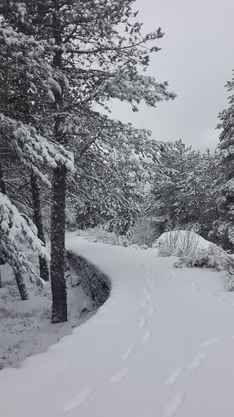 Pousada Da Serra Da Estrela Covilhã Екстериор снимка